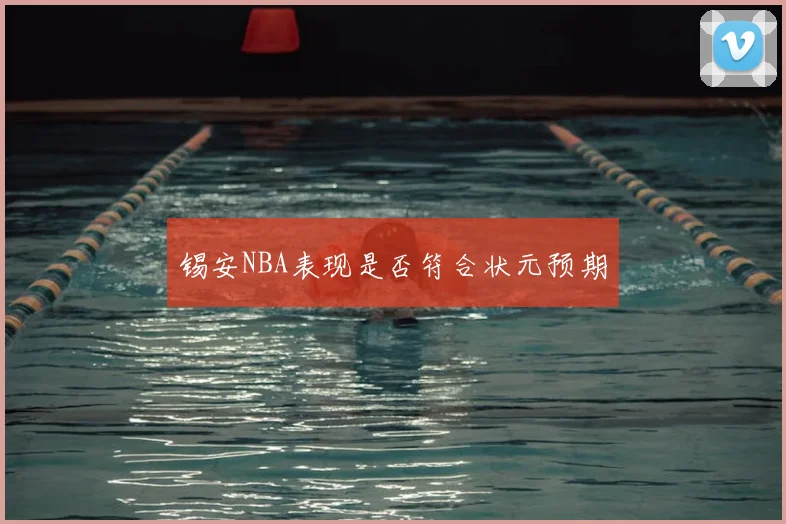 锡安NBA表现是否符合状元预期