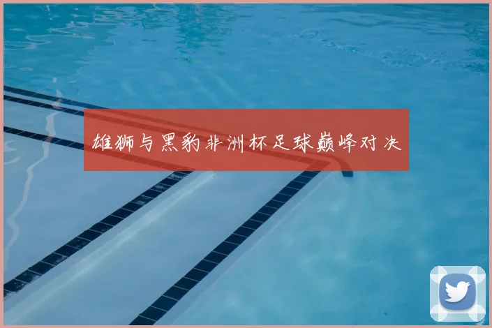 雄狮与黑豹非洲杯足球巅峰对决