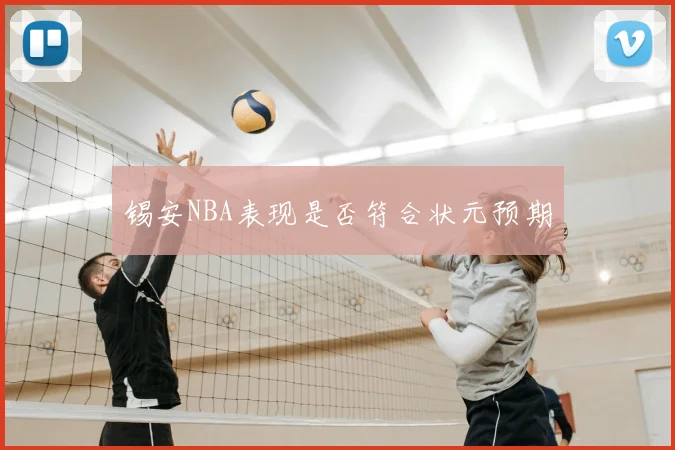 锡安NBA表现是否符合状元预期
